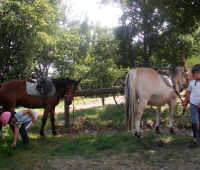 equitation-lozere-evasion-2.jpg