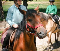 equitation-lozere-evasion-4.jpg
