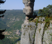 gorges-du-tarn.jpg