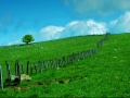 L'Aubrac - Lozère Évasion © Leo Gayola