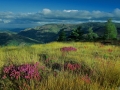 Paysage - Lozère Évasion © Leo Gayola