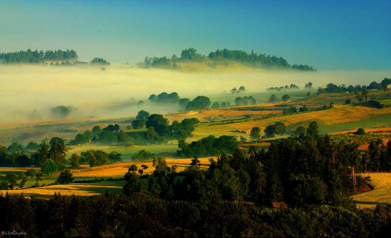 Margeride-au-petit-matin