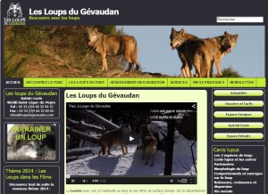 logo-loup